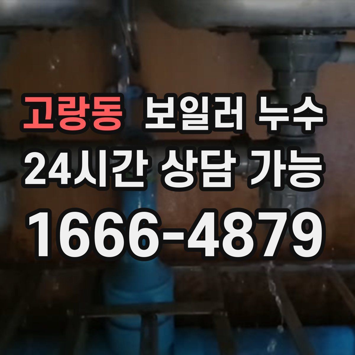 고랑동 보일러 누수 보일러실 주변만 유독 축축한 이유