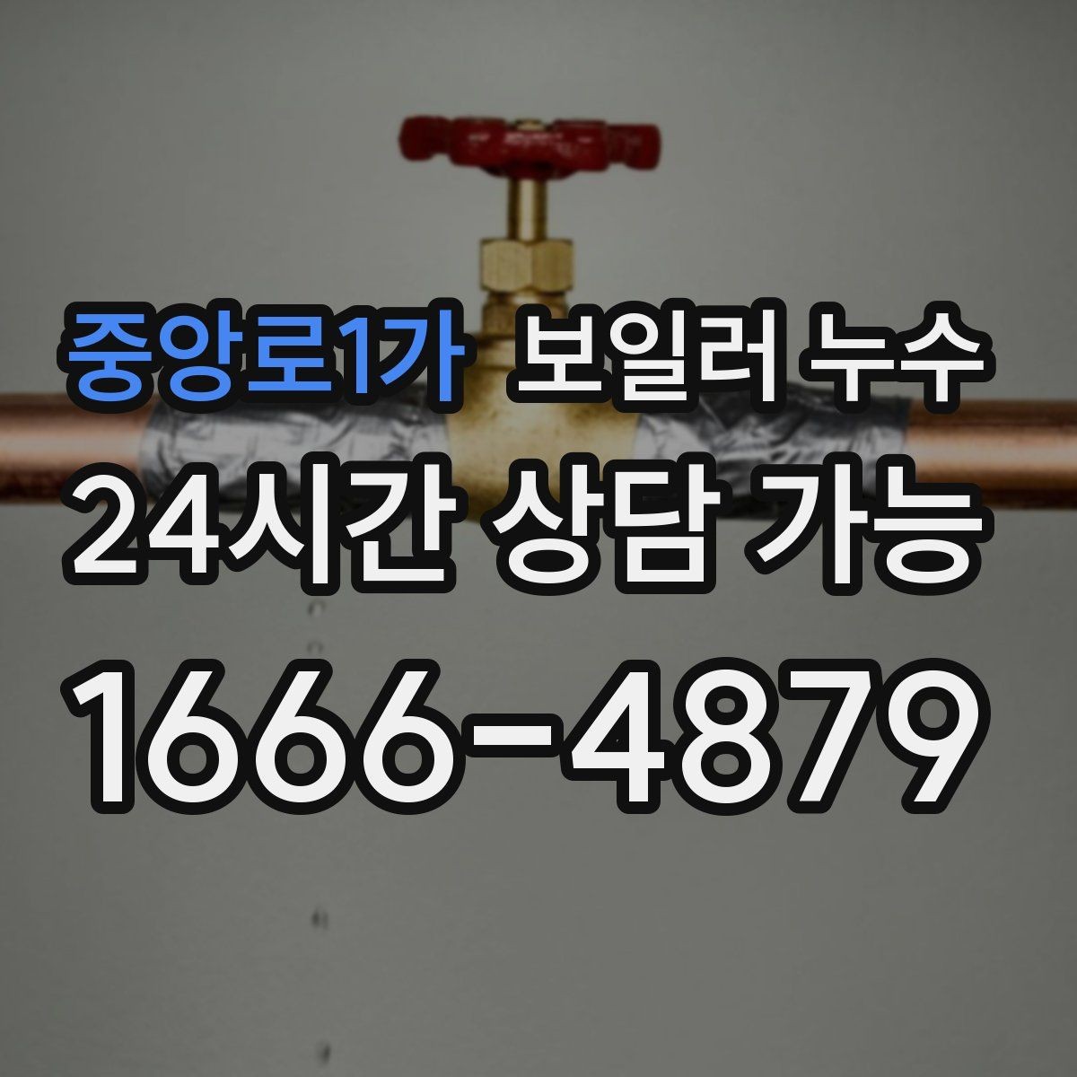 중앙로1가 보일러 누수 장판 아래에서 냄새가 퍼질 때
