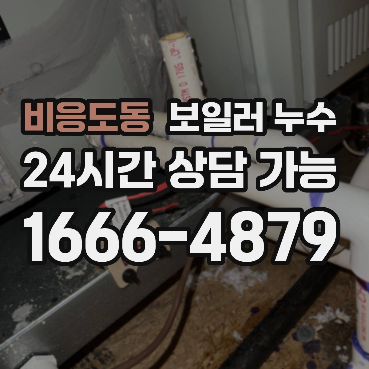 비응도동 보일러 누수 재발 방지까지 이어지는 점검 흐름 안내