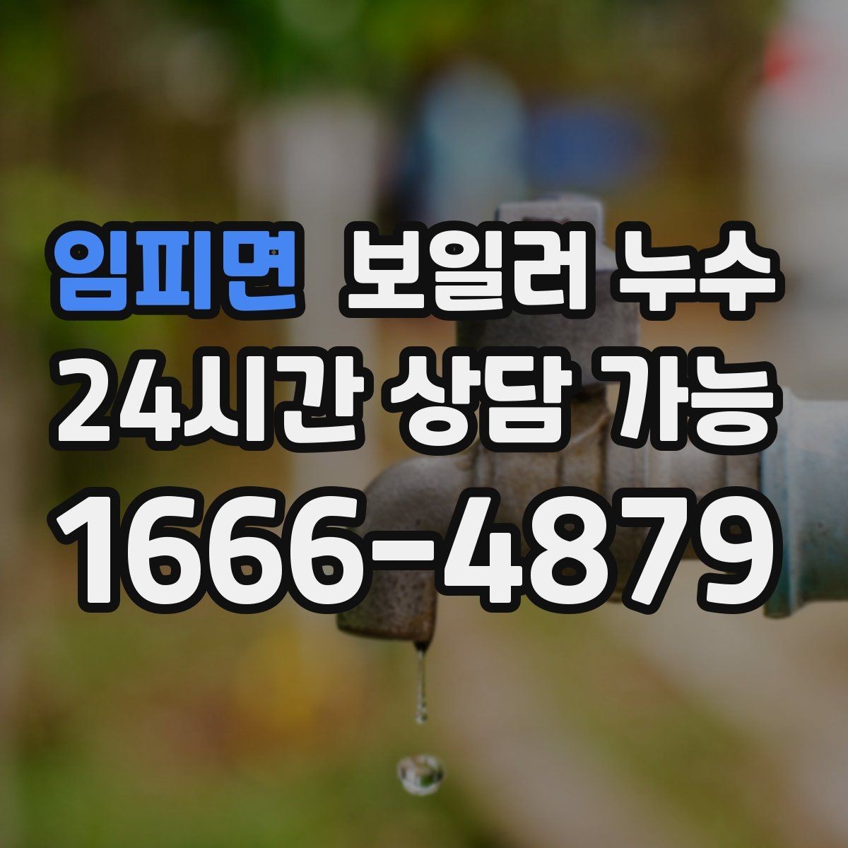 임피면 보일러 누수 전기 스위치 주변 변색이 보이면