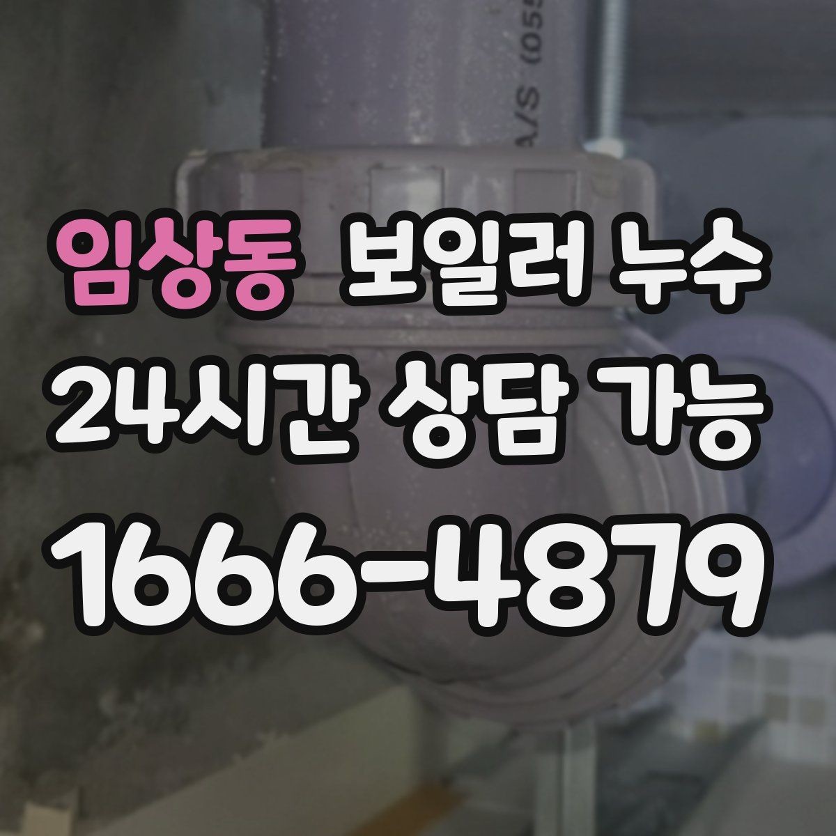임상동 보일러 누수 보일러실만 젖는 경우 점검 포인트