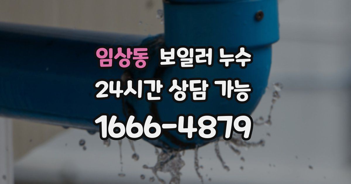 임상동 보일러 누수