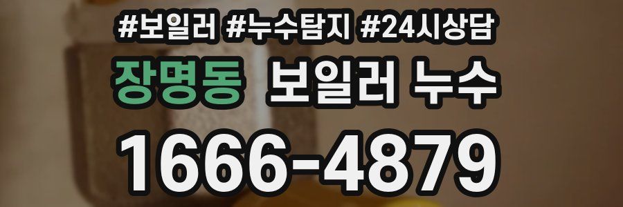 장명동 누수탐지