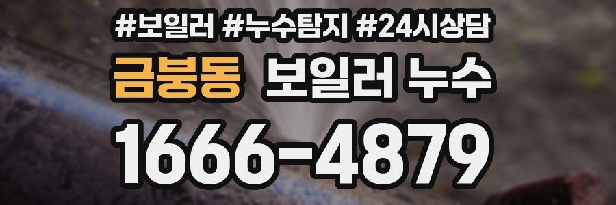금붕동 누수탐지