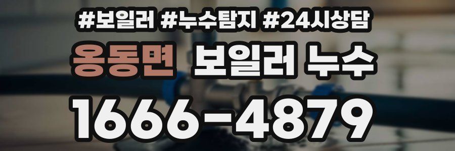 옹동면 누수탐지