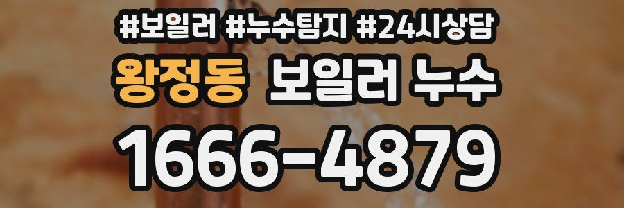 왕정동 누수탐지