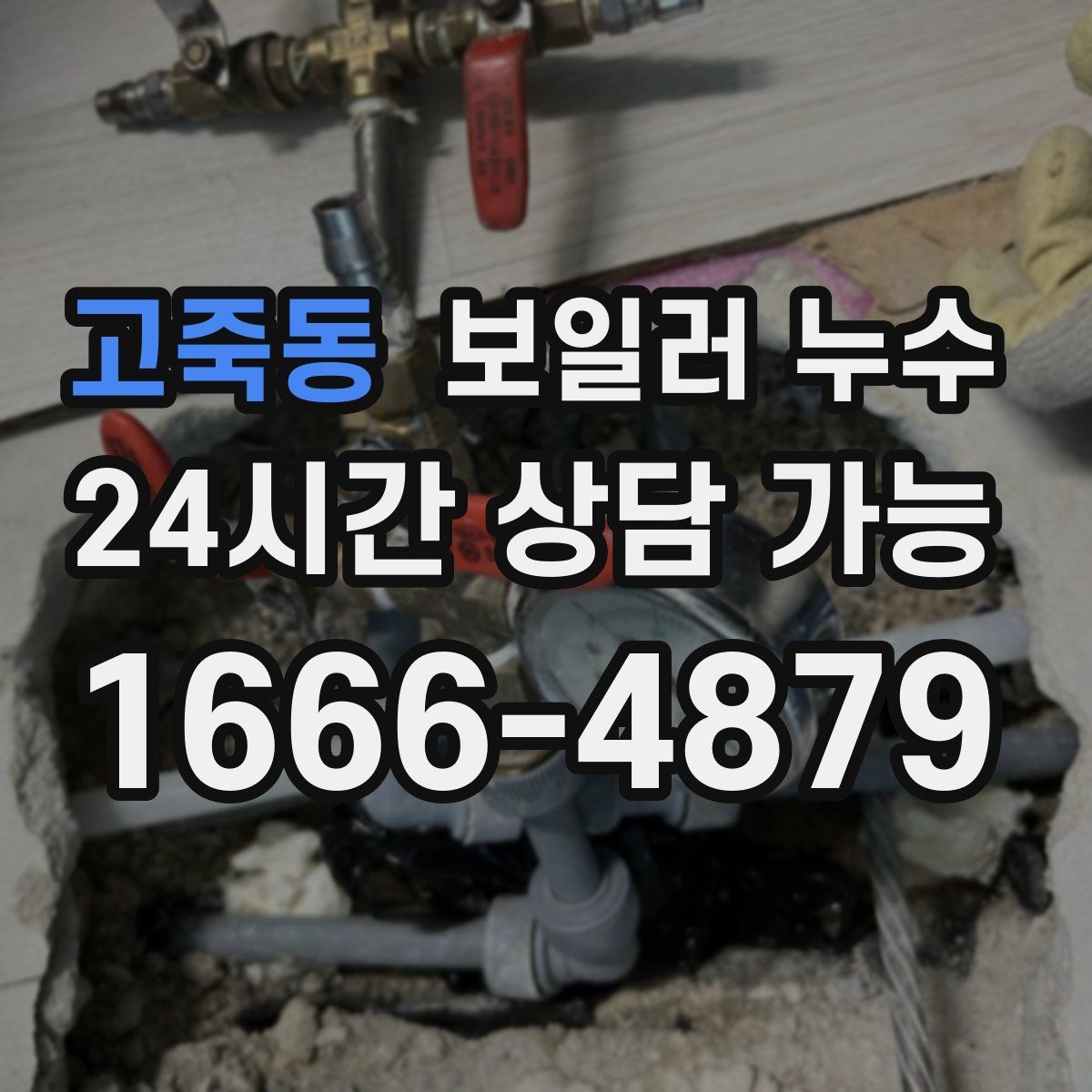 고죽동 보일러 누수 곰팡이만 늘고 물자국이 적을 때