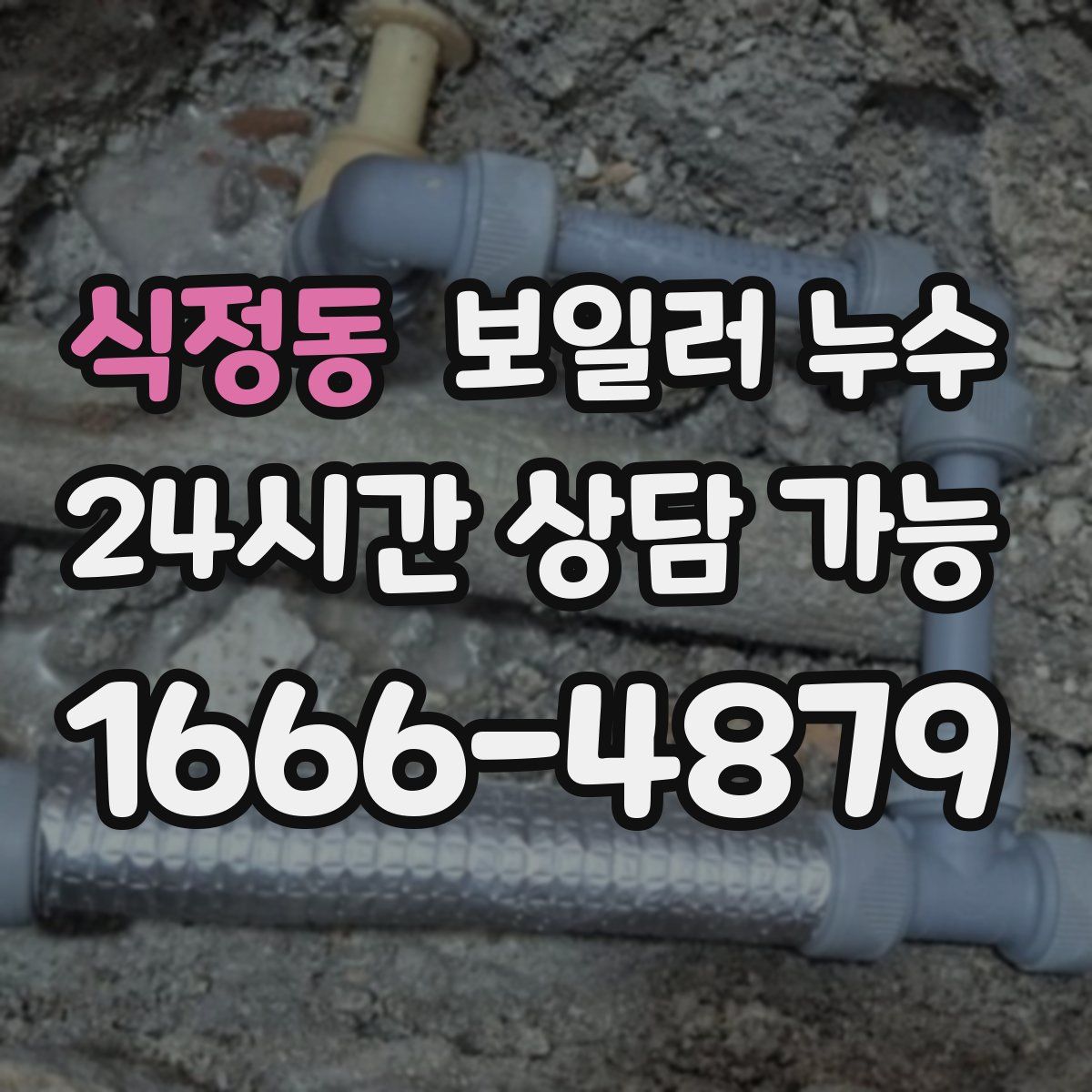 식정동 누수