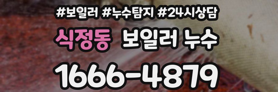 식정동 누수탐지