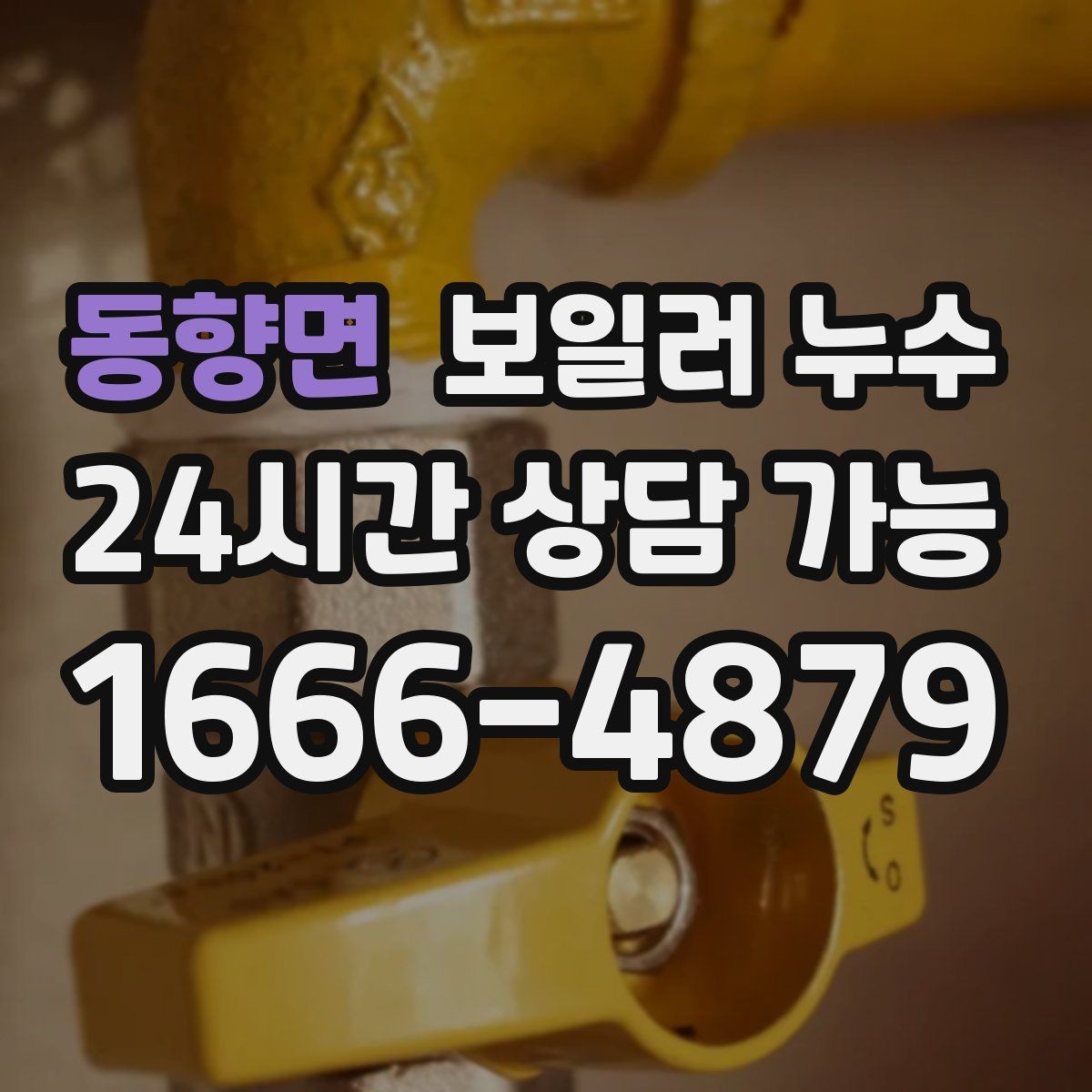 동향면 보일러 누수 보일러실에서 물이 생기는 이유