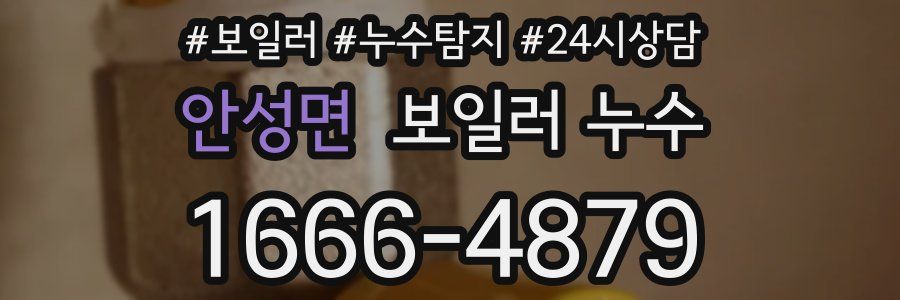 안성면 누수탐지