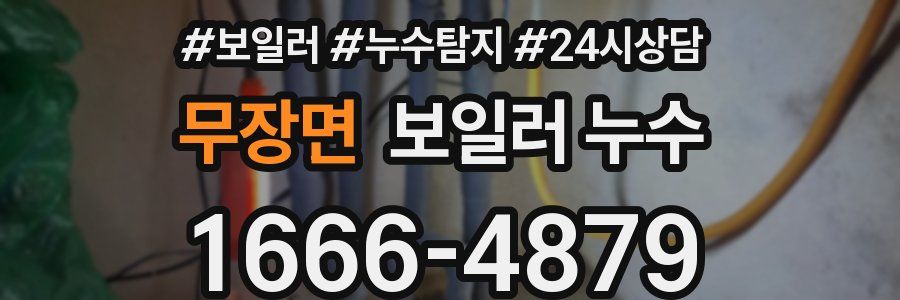 무장면 누수탐지