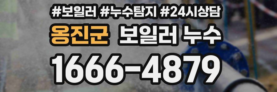 옹진군 누수탐지