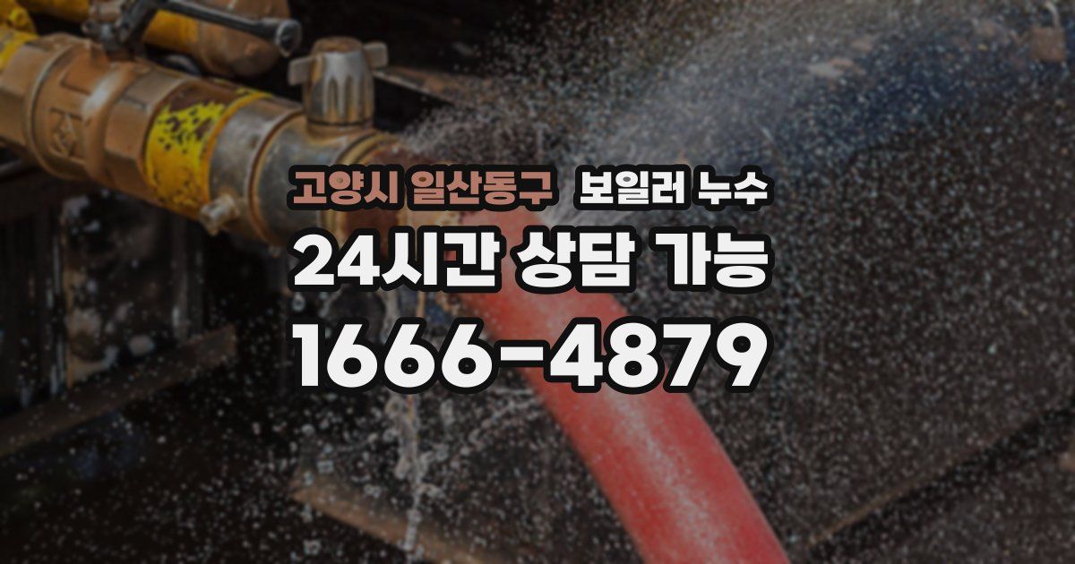 고양시 일산동구 보일러 누수