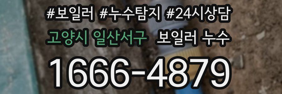 고양시 일산서구 누수탐지
