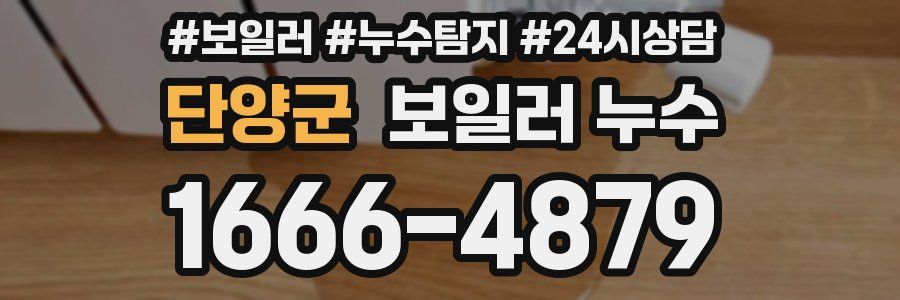 단양군 누수탐지