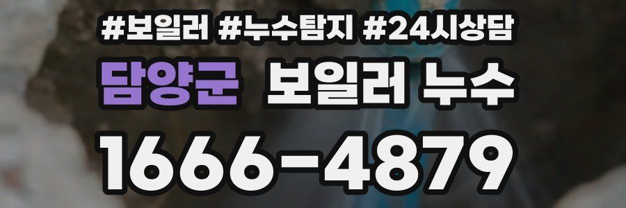 담양군 누수탐지