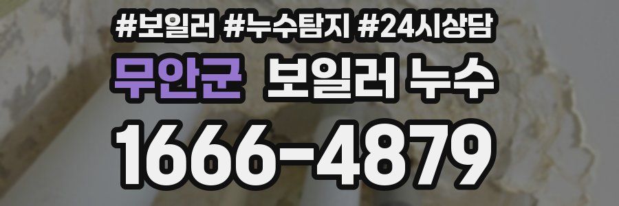 무안군 누수탐지