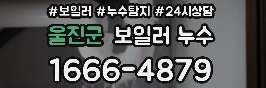 울진군 누수탐지