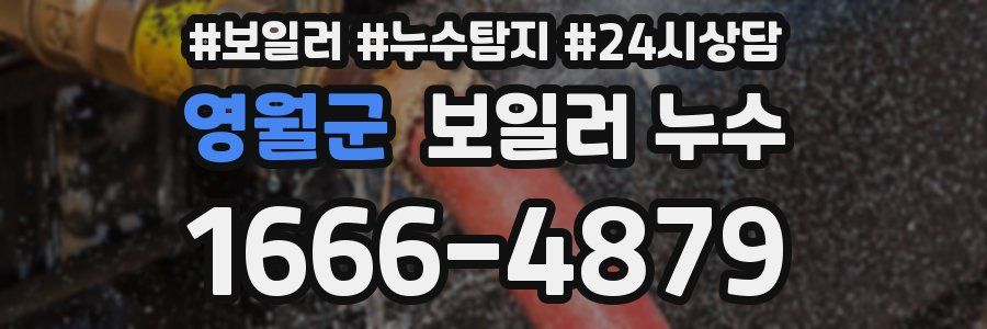 영월군 누수탐지