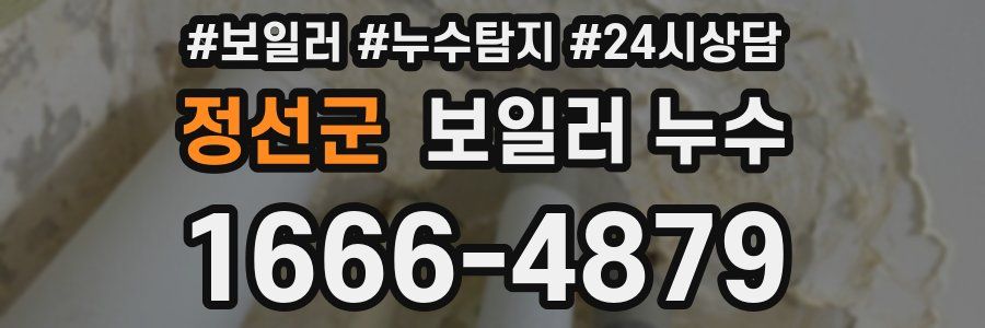 정선군 누수탐지