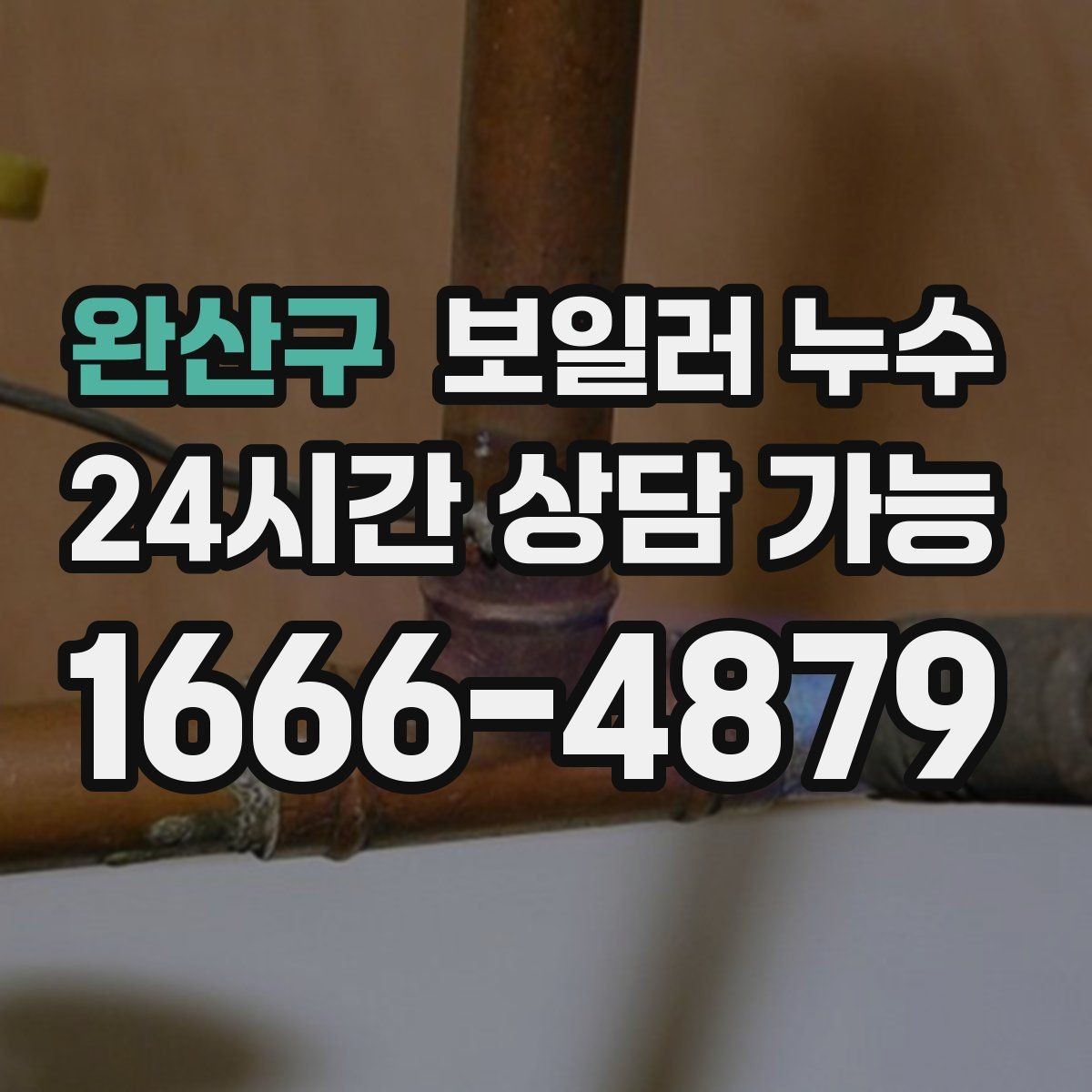 완산구 보일러 누수 곰팡이로 번지기 전 확인해야 할 것