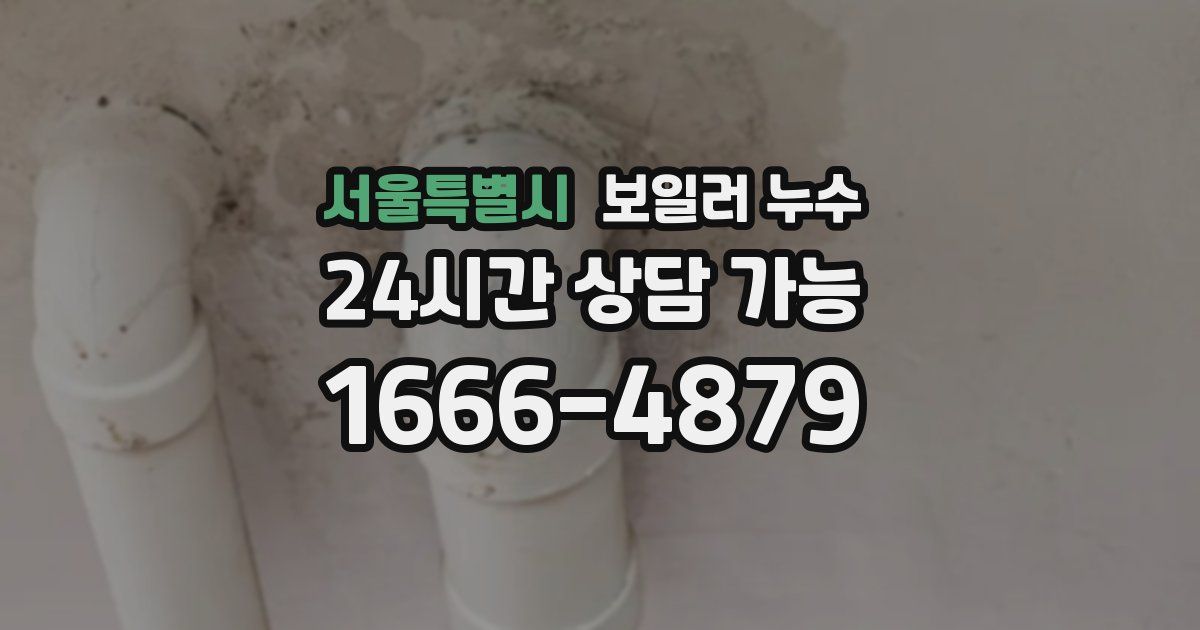 서울특별시 보일러 누수