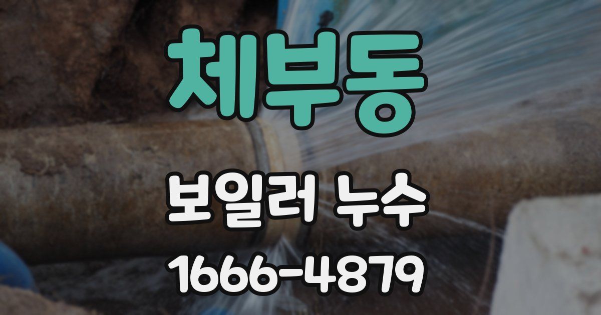 체부동 보일러 누수