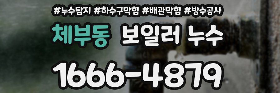 체부동 보일러 누수