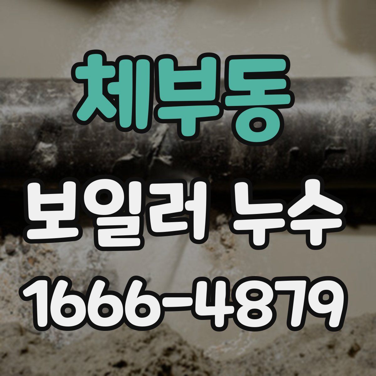 체부동 보일러 누수