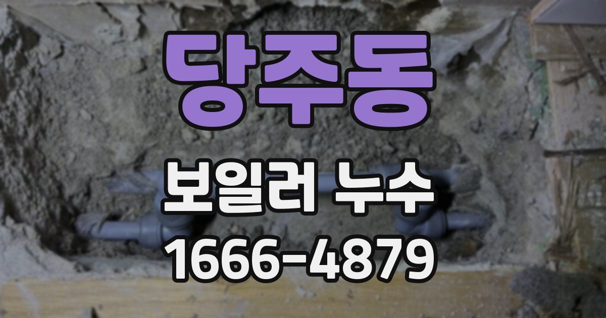 당주동 보일러 누수