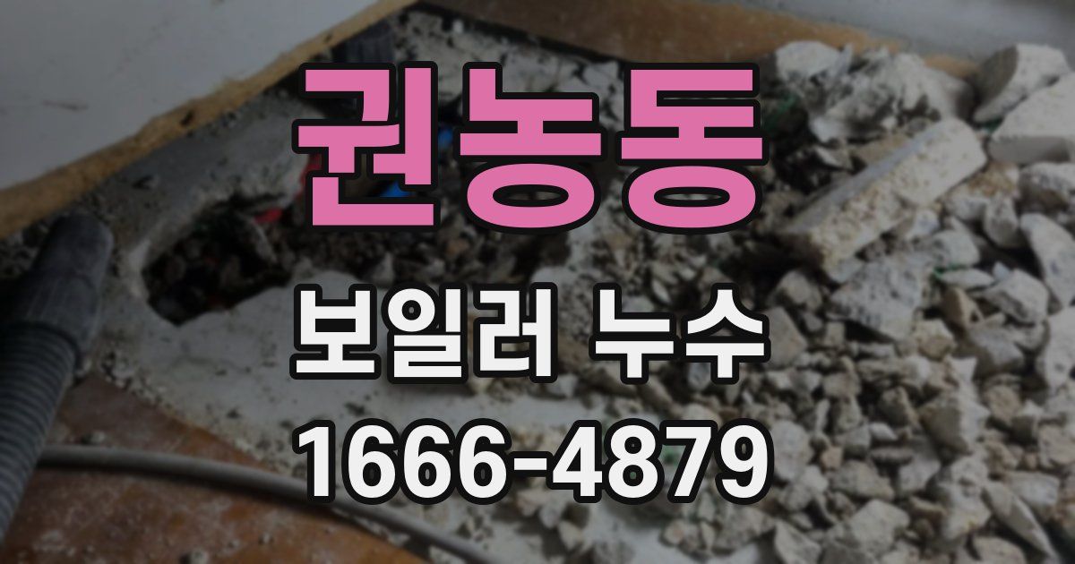 권농동 보일러 누수