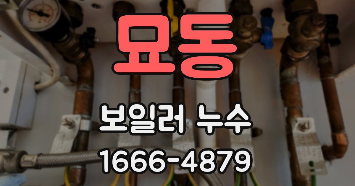 묘동 보일러 누수