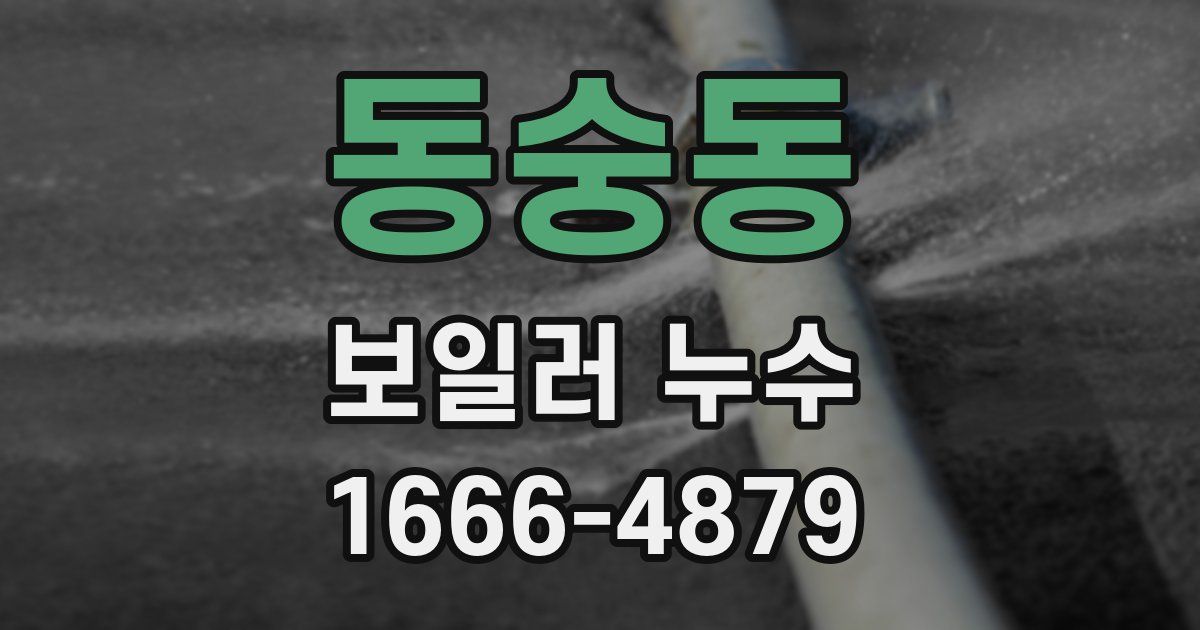 동숭동 보일러 누수