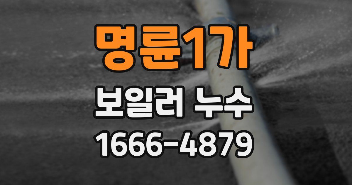 명륜1가 보일러 누수