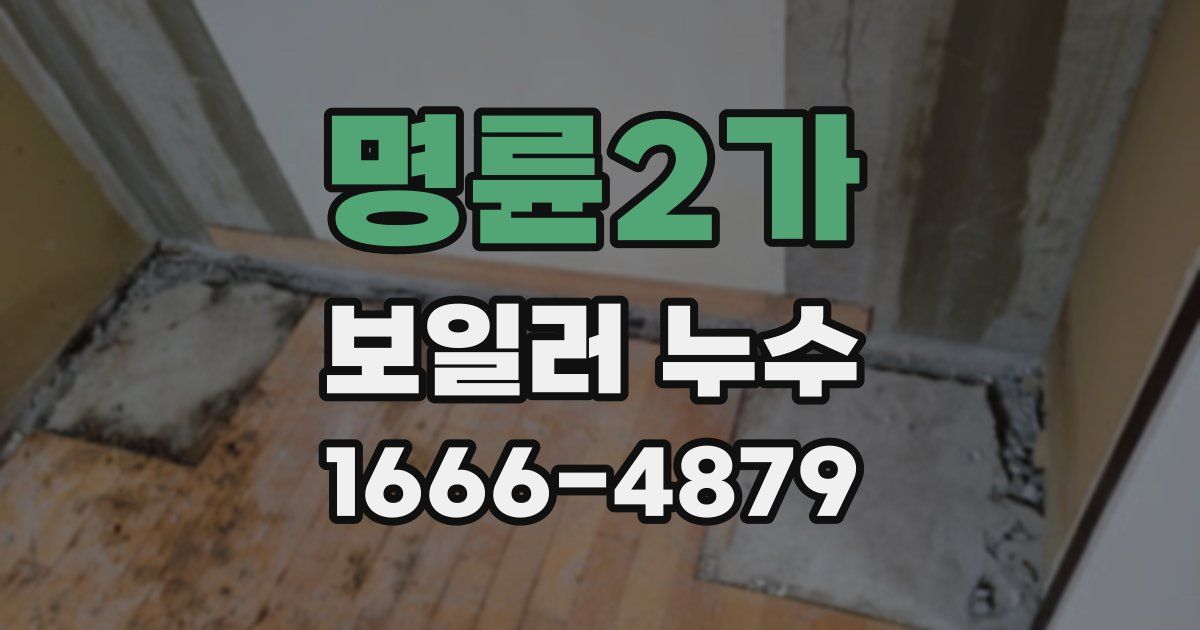 명륜2가 보일러 누수