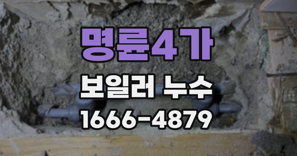 명륜4가 보일러 누수