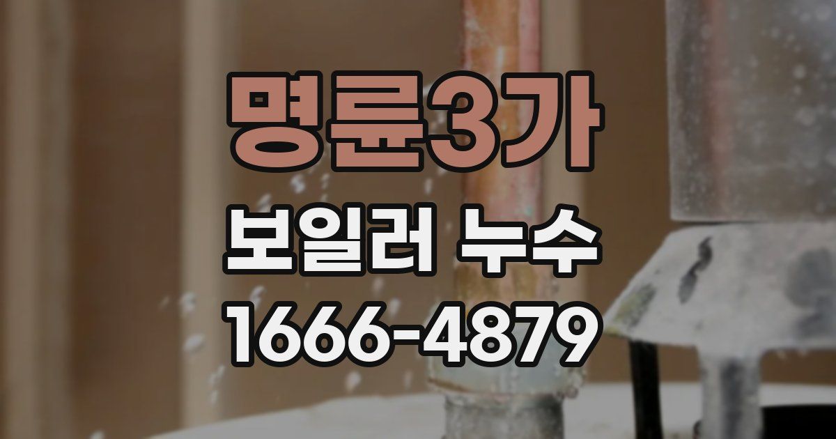 명륜3가 보일러 누수