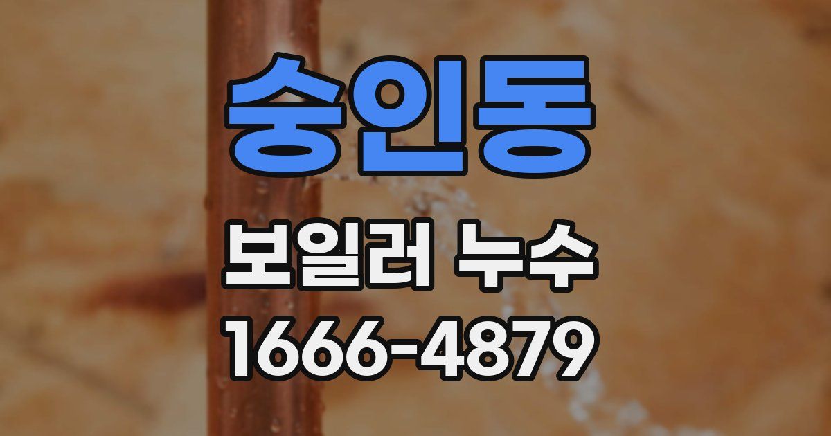 숭인동 보일러 누수