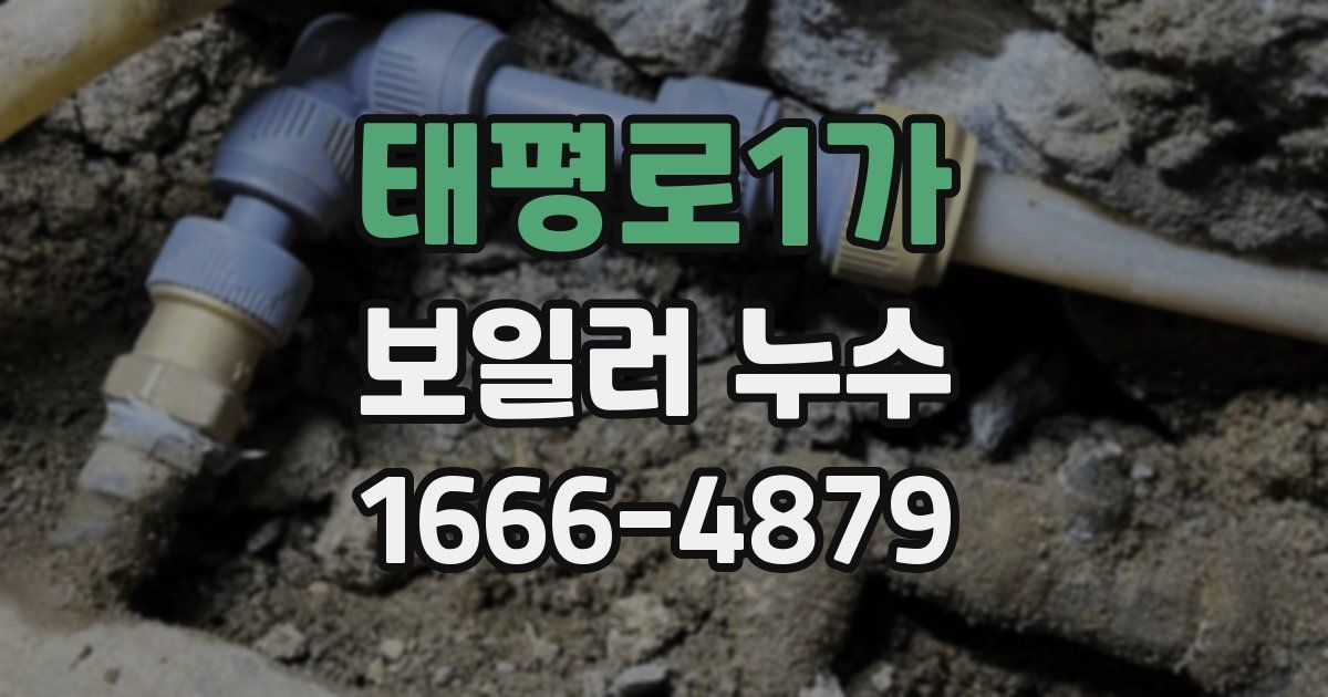태평로1가 보일러 누수