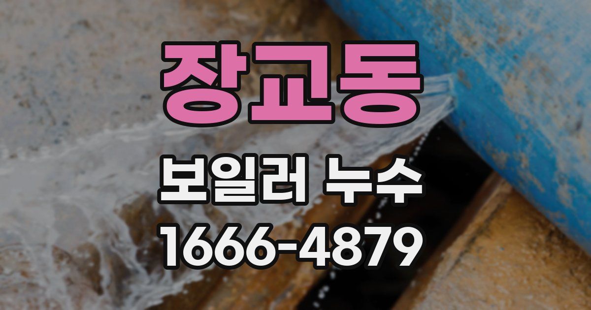 장교동 보일러 누수