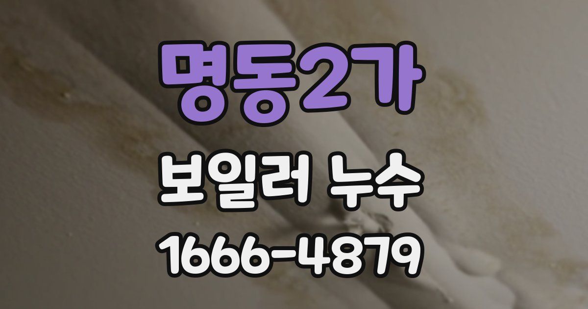 명동2가 보일러 누수