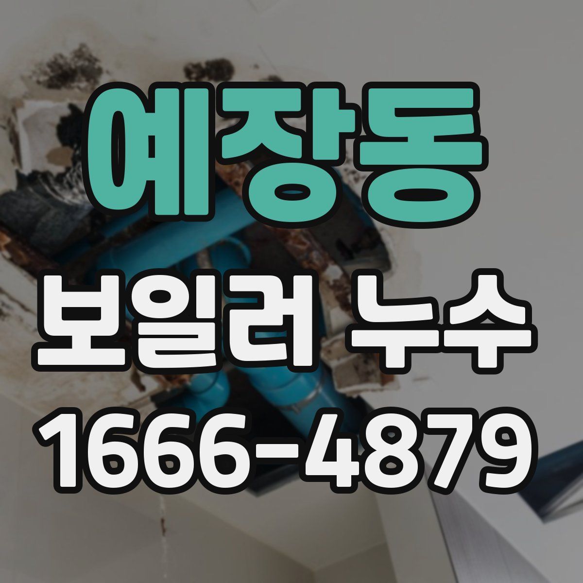 예장동 보일러 누수