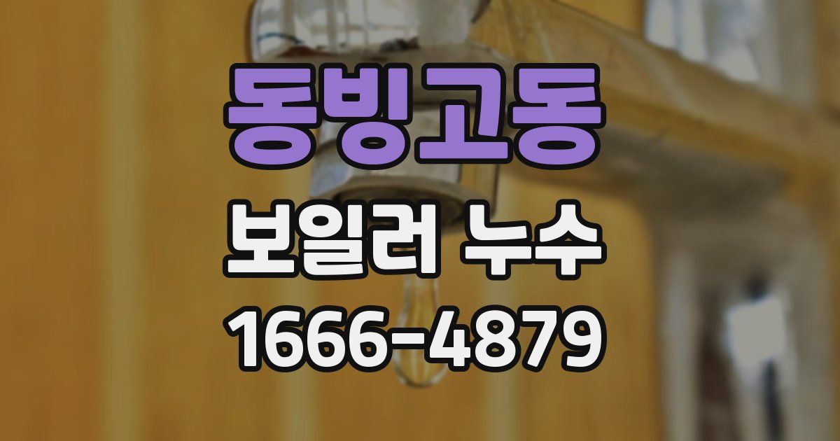 동빙고동 보일러 누수