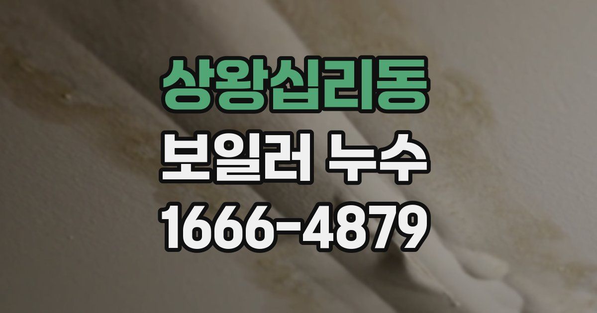 상왕십리동 보일러 누수