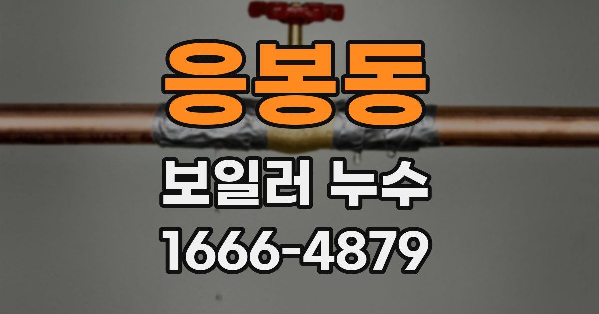응봉동 보일러 누수