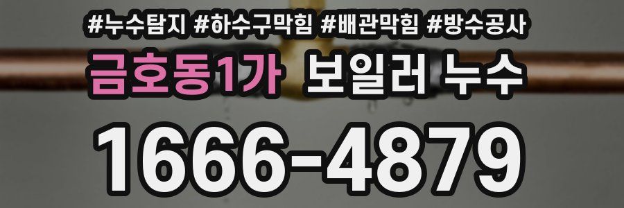 금호동1가 보일러 누수