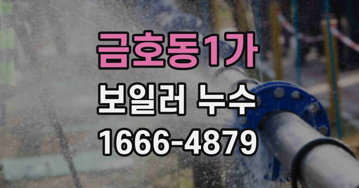 금호동1가 보일러 누수