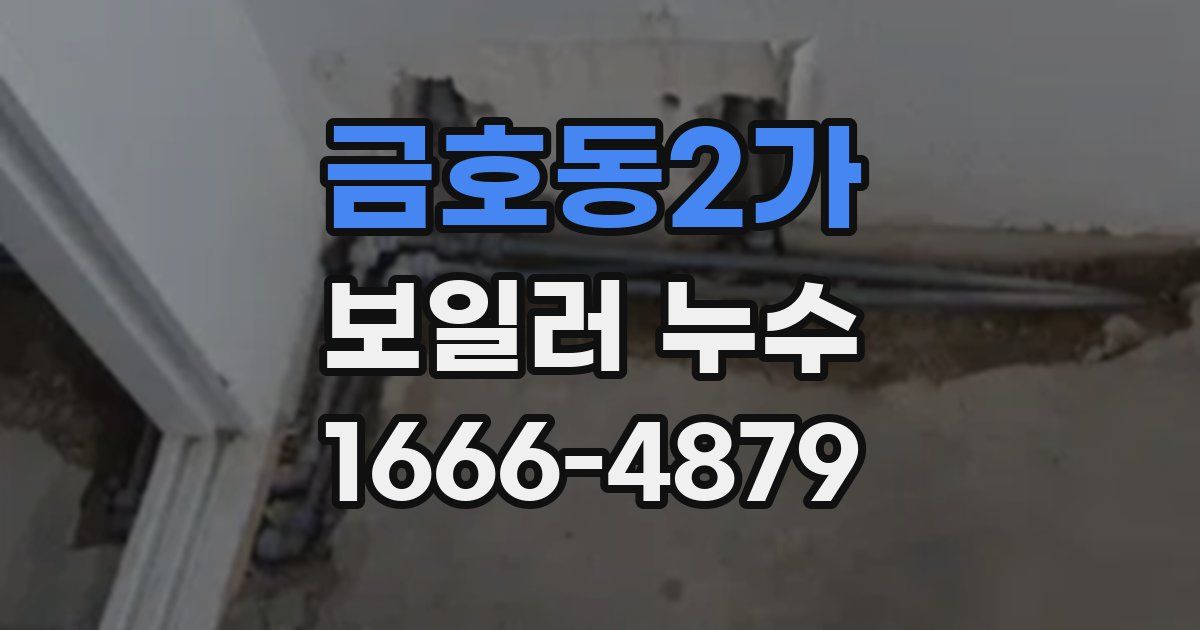 금호동2가 보일러 누수