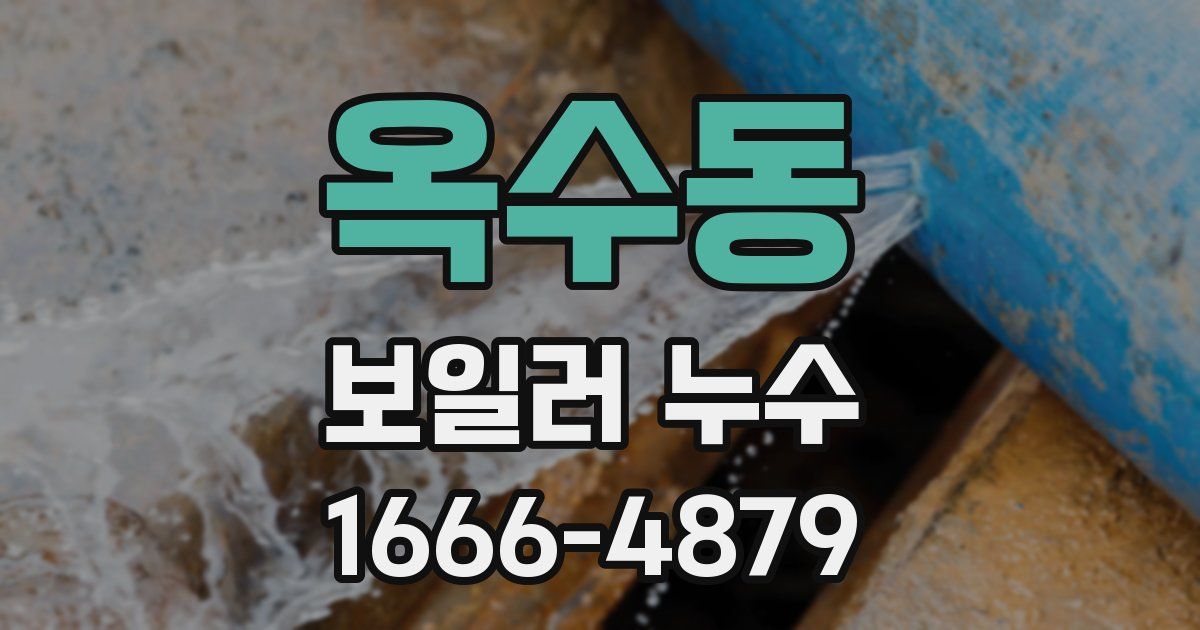 옥수동 보일러 누수